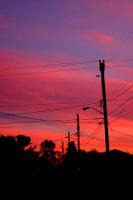 DAwn in Seattle Suburbs